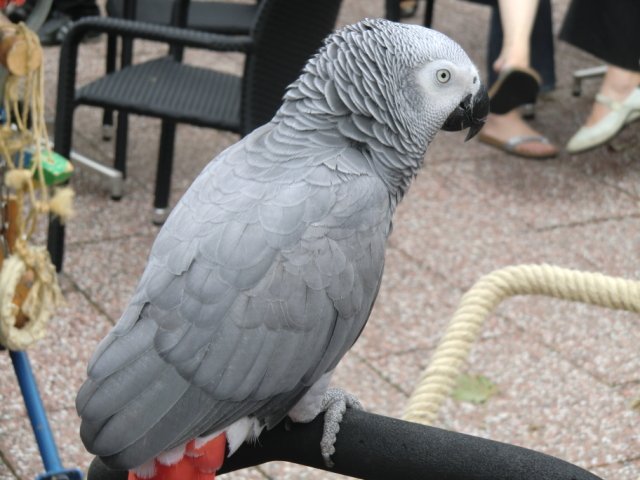 2011-09-04 Wantijpark